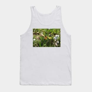 Nature, gifts, butterfly, Thore's Fritillary Butterfly, Natures Grace Tank Top